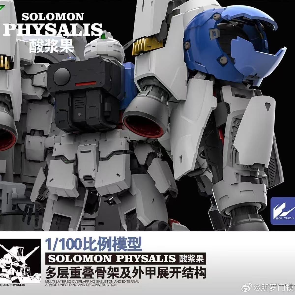 Tersedia SOLOMON PHYSALIS GP02 - Model Kit Daban ulasan dan harga