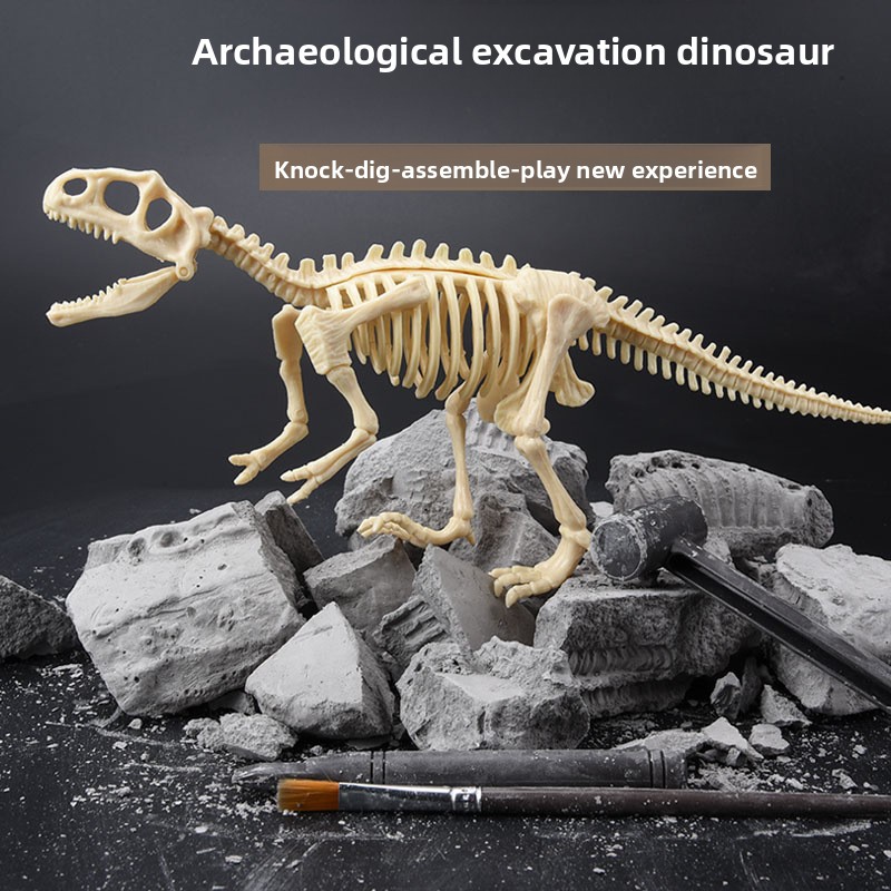 Kit Penggalian Fosil Dinosauru - Model Kit For Girls ulasan dan harga