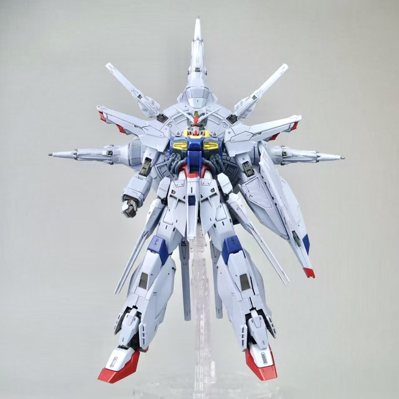 Model Huiju Baru 1/100 Mg Zgmf - Model Kit Daban ulasan dan harga